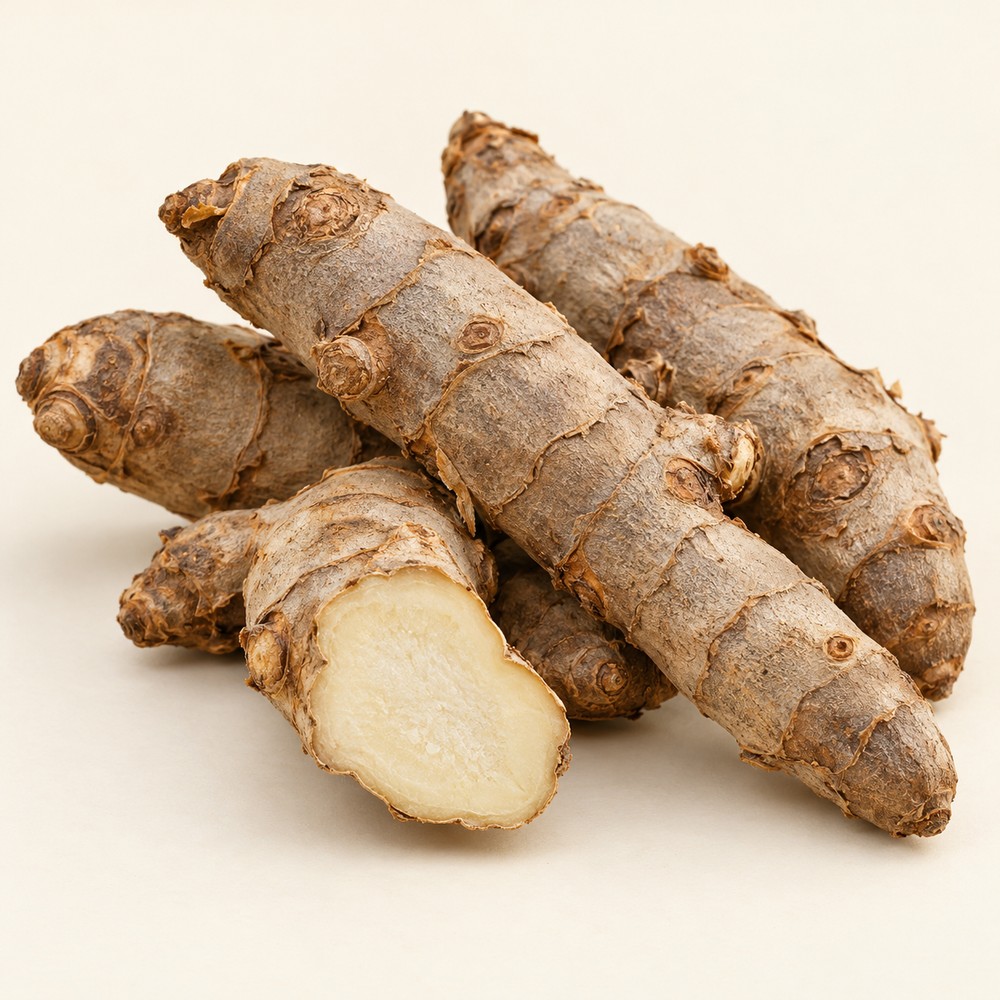 Yujin root tuber — Dried materia medica