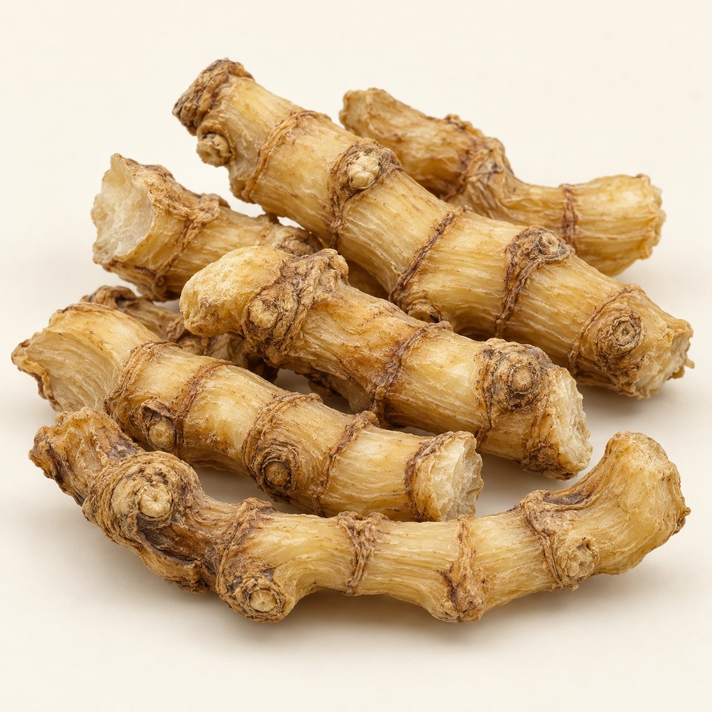 Fragrant Solomon's seal rhizome — Dried materia medica