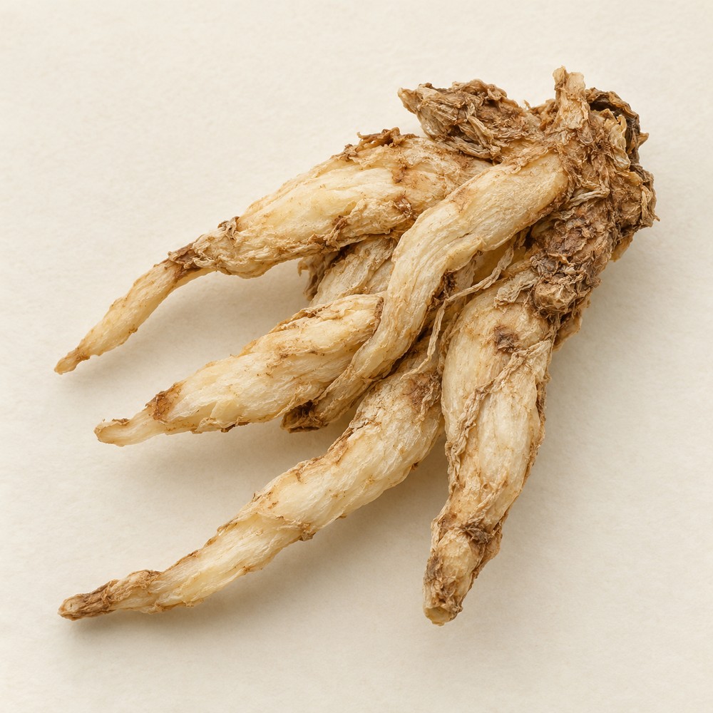 Zhi Mu — dried material