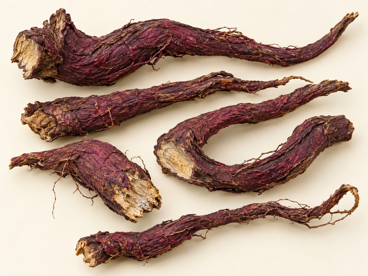 Zi Cao · Ying Zi Cao — Dried materia medica